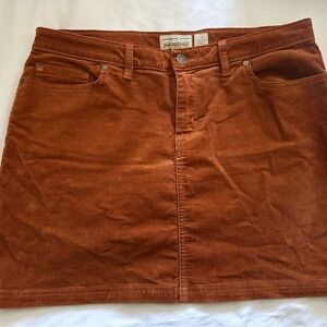 Patagonia Corduroy Skirt